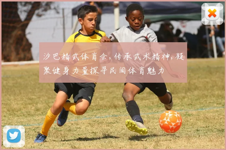 沙巴精武体育会,传承武术精神,凝聚健身力量探寻民间体育魅力
