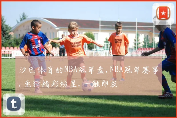 沙巴体育的NBA冠军盘,NBA冠军赛事,竞猜精彩纷呈,一触即发